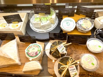 【かしわエリア】人気記事からセレクト「●●専門店」6選