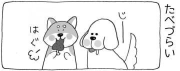 【4コマ漫画】まいにちいぬけん vol.28