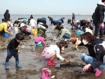 「大きいアサリあったよ」　千葉・富津で潮干狩り場オープン　生育順調、漁協も期待
