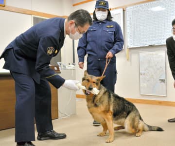 タオルケットのにおい手がかりに“初手柄”　行方不明の高齢女性を発見　警察犬エレナ号に感謝状と骨ガム贈る　山武署