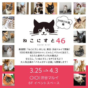 日本最大級のねこ写真パネル＆グッズ展「ねこにすと」が3月25日（金）から渋谷マルイで開催！