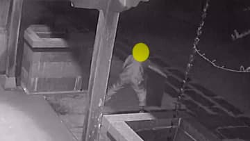 寺に侵入した“さい銭泥棒”が防犯カメラを破壊！約45分で境内の箱が全て空っぽに…犯行の一部始終を捉えた