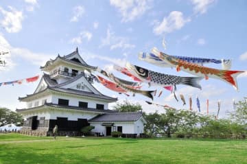 城下見下ろし悠々と　館山・城山公園　安房西高生が協力、こいのぼり寄贈受け70匹