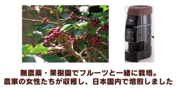 自然農法で栽培されたミャンマーコーヒーを名古屋で販売します　5/14（土）・15（日）開催「世界フェアトレード・デー・なごや」にRoCoBeLが初出店します。