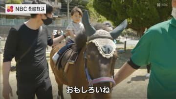 日本に50頭しかいない在来種 "対馬・対州馬" を体験