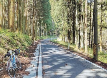 木々に囲まれた県道236号。歌津へと続く爽快な下り坂だ＝2日