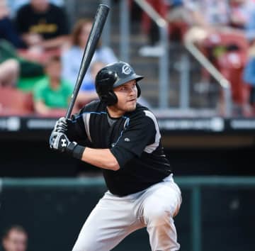 レアード退場させた白井球審は「全然悪くない」　高木豊氏「あれでイチャモンつけたら野球にならない」