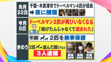“犬を外で飼うのは限界“…ドーベルマン“窃盗”女が逮捕前に語っていた理想　飼い主誘い出し計画的犯行か
