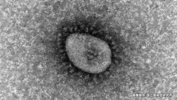 【5/28】新型コロナウイルス　新たに193人感染確認