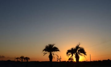 3年ぶり海水浴場開設　山武市、本須賀海水浴場など5カ所　7月16日から