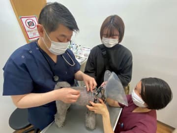 犬・猫にマイクロチップ装着を　ペット迷子、盗難に効果　飼い主特定、投棄防止も　改正動物愛護法施行