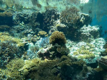 海のない奈良でできることは？6月8日は世界海洋デー【奈良県的今日は何の日】