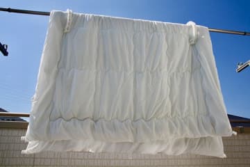 ベランダ大量発生する“クモみたいな小さな赤い虫”正しい対処法とは