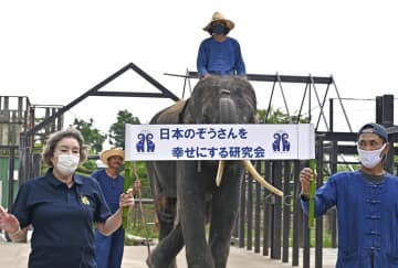 「ゾウを幸せにする研究会」設立　千葉・市原の動物園、日本初
