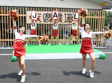 JAL客室乗務員のチアダンスチーム、3年ぶり披露　　千葉・富里「末廣農場」舞台に再開