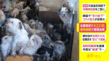 劣悪環境で犬221匹　虐待容疑で書類送検