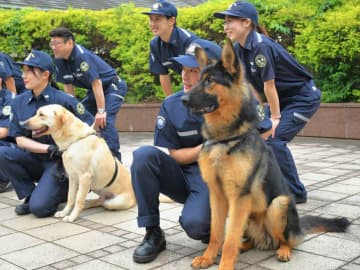 12匹の新たな麻薬探知犬が誕生、摘発の最前線へ　4カ月の厳しい訓練終え　成田