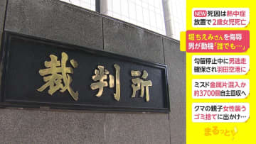 堀ちえみさんをネット上で侮辱　男が動機「誰でもよかった」