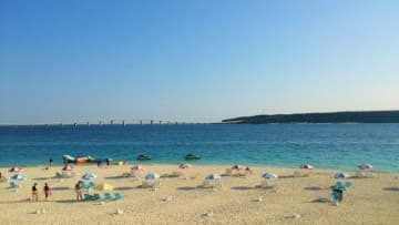 暑い夏は、日本の海で海水浴を楽しもう! (海のルール・海開き・持ち物・アクティビティなど)