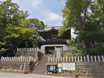 【布施】レインボーかき氷も映える！高台のテラス席からの眺望が最高な「茶屋 花華（はなはな）」