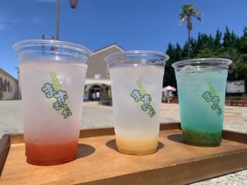 飲む「まずい棒」！？　銚子電鉄「まずそーだ」販売開始　キウイ、白桃など夏らしい爽やかなソーダ