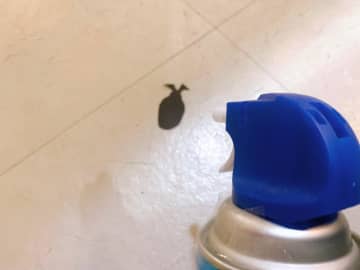 触れずに「G」駆除！ダイソーで見つけた「ゴキすぅ～ぽん」が画期的だった。