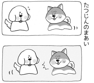 【4コマ漫画】まいにちいぬけん vol.45