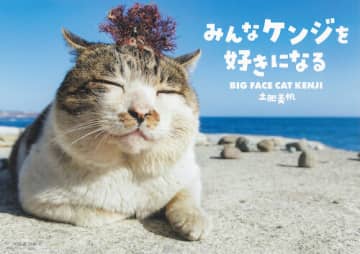 インスタフォロワー８万人！猫のケンジって？　北海道・小樽から世界に羽ばたくケンジ　好きになっちゃうのはなぜ？