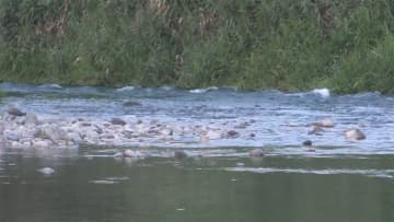 熊本の川で姉妹流され死亡　家族で川遊び中に水難事故