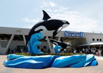 鴨川シーワールドに新モニュメント　親子シャチ、ジャンプ姿リアルに