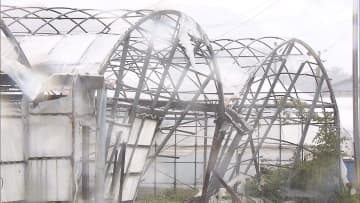 台風8号 「お盆休み」の各地に影響　農業用ハウス倒壊 交通に乱れも