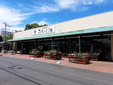 新鮮野菜にワクワク！買って楽しい、食べてうれしい農産物直売所　ふなっこ畑＠船橋市
