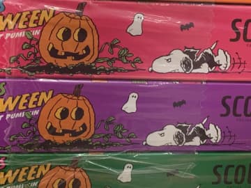スヌーピーのハロウィンティッシュは「イオン限定」。買いだめしたい可愛さ♡