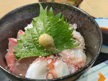 「めでたいでんしゃ」で行く！和歌山・加太の新鮮な魚を使った、海鮮丼を味わう旅