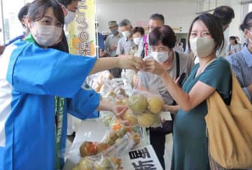 7分で完売！ひょうで傷ついた梨100キロ　「スーパーよりお得」と市民ら行列　松戸、生産者支援の販売会