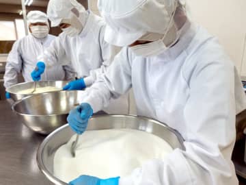 牛乳の風味生かした新アイス「ちばミルク」開発　添加物使わず米ペーストで溶けにくく