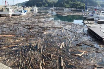 漂着した大量の木くず類＝23日午前、阿久根市脇本の黒之浜港