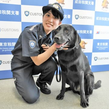 ”ワン”ダフル！新米麻薬探知犬レミ号、異例の早さで初手柄　貨物から乾燥大麻発見　成田空港