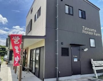 木なりの完熟いちじくはとっても甘～い「館山パイオニアファーム」＠館山市
