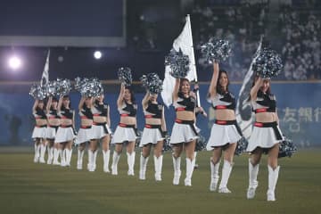 ロッテが公式チアの新メンバーオーディション開催　担当者が語る“求める人材像”