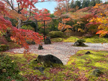 【京都、ほか全国】の紅葉名所…女性約200人調査「絶景+グルメの激推しスポット」