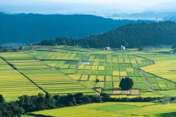 「虫食をすすめられて…」「車にシカが突っ込んできて…」憧れの地方移住は恐怖の連続！