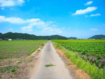 村社会は恐ろしい？　「常に監視されている」なんて言うけど…