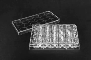 安定的に細胞を培養できる容器を新規開発　ステラケミファ、信州大の研究所と共同で