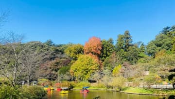 【清水公園】紅葉シーズンはじまる　入園無料で散策ができる公園