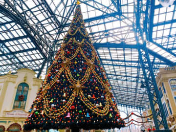 3年ぶりに巨大ツリー復活！ディズニー・クリスマスに潜入2022