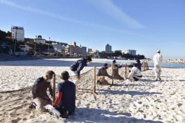 和歌山県白浜町の白良浜で、砂の飛散を防ぐネットを設置する町の職員ら＝25日午前