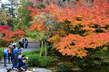 【調査】千葉県内の「おすすめ紅葉スポット」は？　千葉日報会員にアンケート　1位は温泉も楽しめる人気観光地！