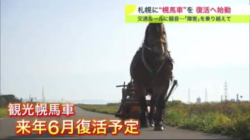 「札幌の観光幌馬車」5年ぶりに復活へ 選ばれたのは…穏やかな性格のばん馬