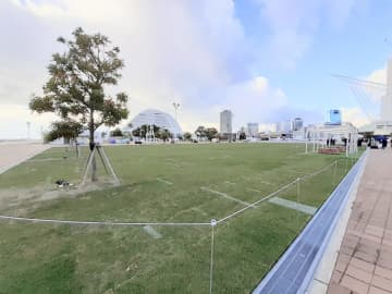 メリケンパークの広場に｢甲子園ボウル｣の天然芝を移設　SDGsプロジェクト、入場は来年2月から